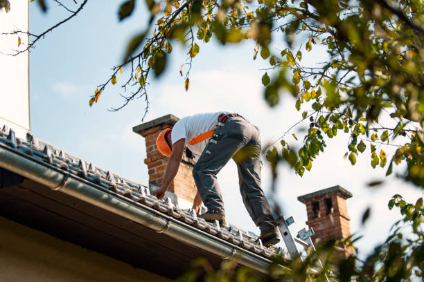 Best Gutter Installation and Roofing  in Springfield, GA