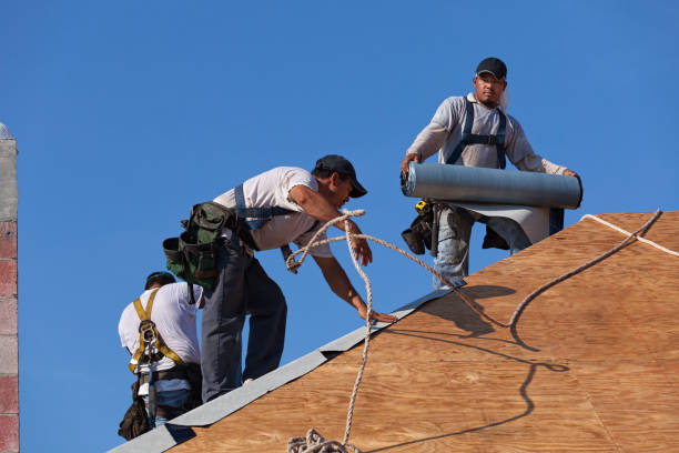 Best Roofing Contractor Near Me  in Springfield, GA